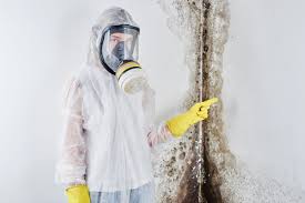  Clayton, NM Mold Remediation Pros